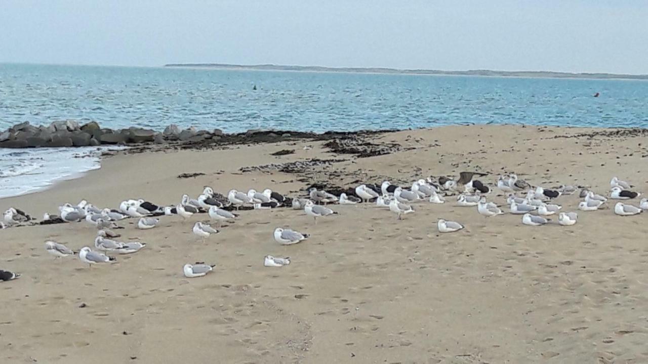 Villa Ma Chaumiere La Cotinière Esterno foto